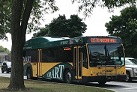 Detroit's suburban bus system to cut services amid COVID-19 surge, driver shortage