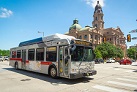 Does federal law cited by Tarrant County judge really ban free transit rides to polls?